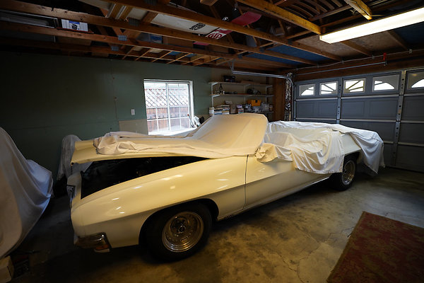 223eighthpetaluma - 56 223eighthpetaluma - 56