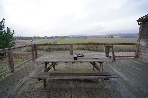 125elyrdnorth - 41 125elyrdnorth - 41