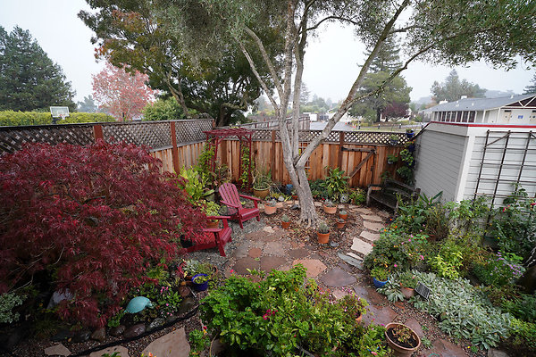 929bstpetaluma - 50 929bstpetaluma - 50