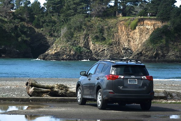 Van Damme State Park - 23 Van Damme State Park - 23