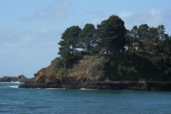 Van Damme State Park - 27 Van Damme State Park - 27