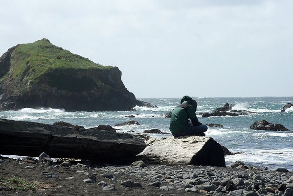 Van Damme State Park - 29 Van Damme State Park - 29