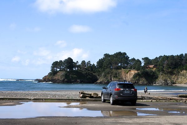 Van Damme State Park - 21 Van Damme State Park - 21