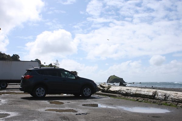 Van Damme State Park - 08 Van Damme State Park - 08