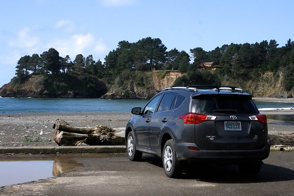 Van Damme State Park - 19 Van Damme State Park - 19