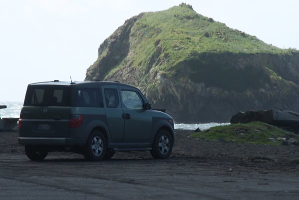 Van Damme State Park - 56 Van Damme State Park - 56