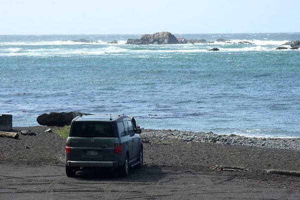 Van Damme State Park - 52 Van Damme State Park - 52