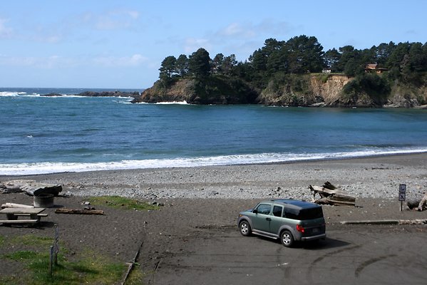 Van Damme State Park - 50 Van Damme State Park - 50