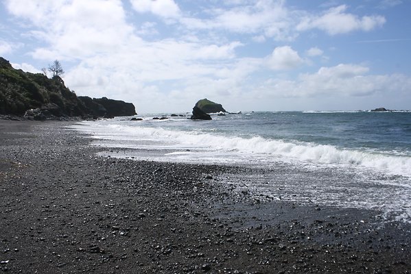 Van Damme State Park - 34 Van Damme State Park - 34
