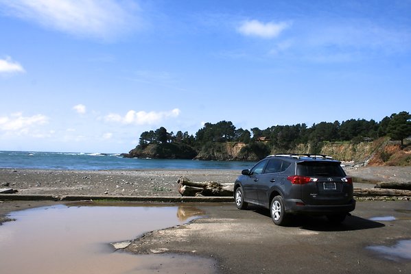 Van Damme State Park - 38 Van Damme State Park - 38