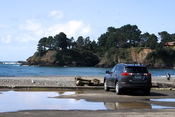 Van Damme State Park - 20 Van Damme State Park - 20