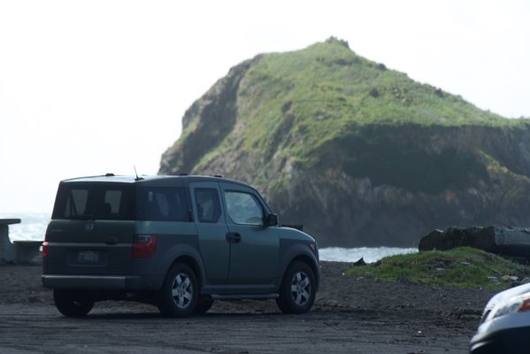 Van Damme State Park - 57 Van Damme State Park - 57