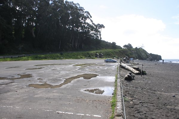 Van Damme State Park - 13 Van Damme State Park - 13