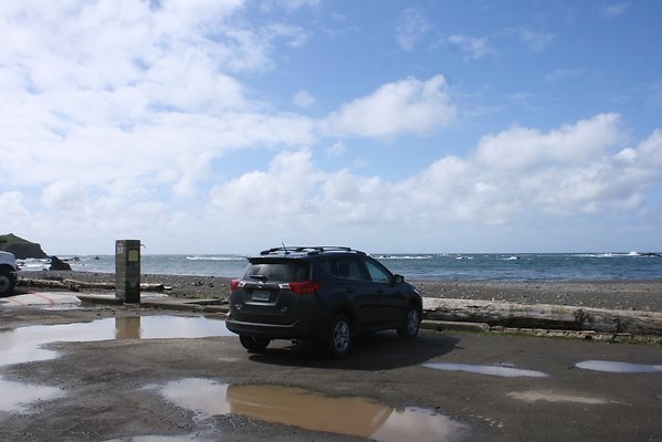 Van Damme State Park - 14 Van Damme State Park - 14