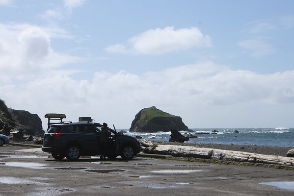 Van Damme State Park - 39 Van Damme State Park - 39