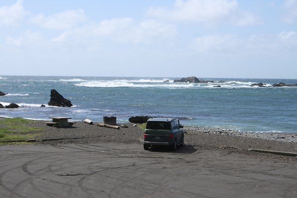 Van Damme State Park - 42 Van Damme State Park - 42