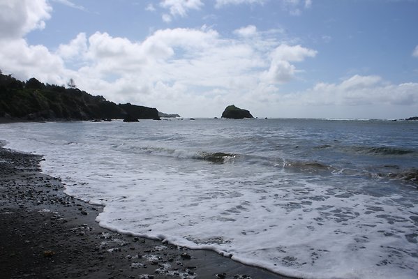 Van Damme State Park - 36 Van Damme State Park - 36