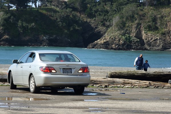 Van Damme State Park - 61 Van Damme State Park - 61