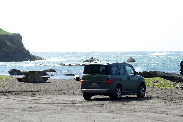 Van Damme State Park - 54 Van Damme State Park - 54