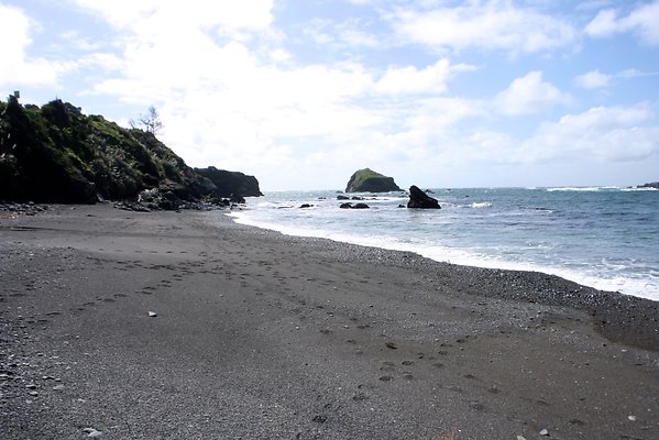 Van Damme State Park - 33 Van Damme State Park - 33