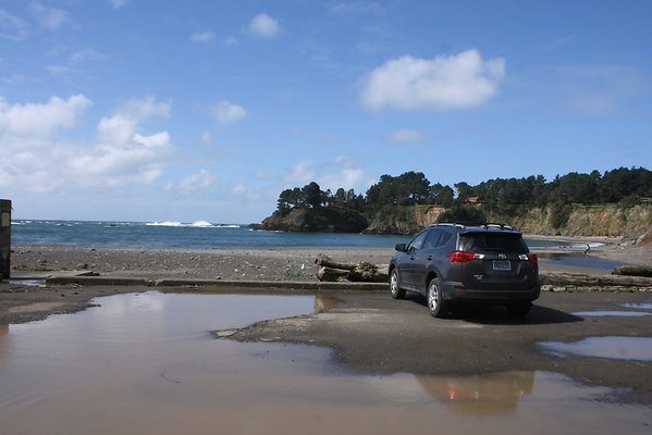 Van Damme State Park - 17 Van Damme State Park - 17