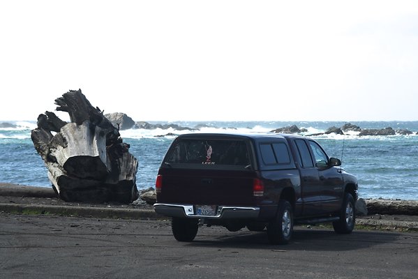 Van Damme State Park - 25 Van Damme State Park - 25