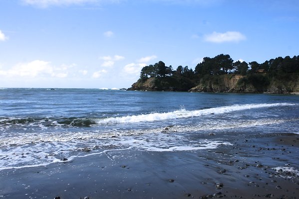 Van Damme State Park - 35 Van Damme State Park - 35