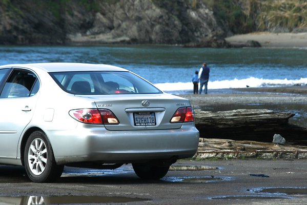 Van Damme State Park - 60 Van Damme State Park - 60