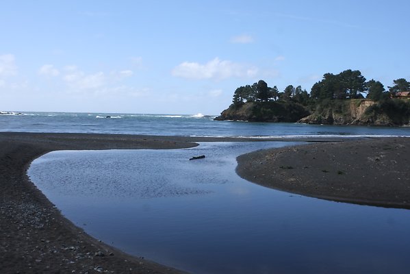 Van Damme State Park - 40 Van Damme State Park - 40