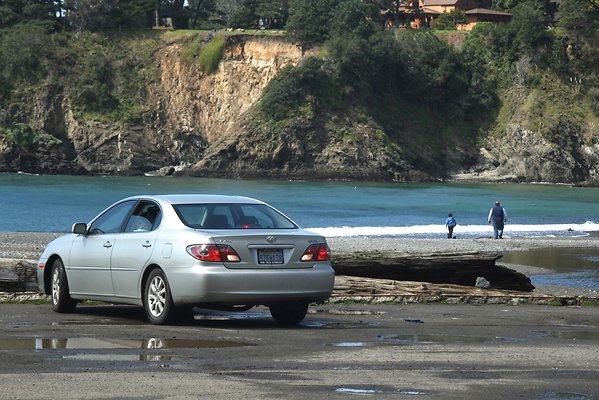 Van Damme State Park - 58 Van Damme State Park - 58