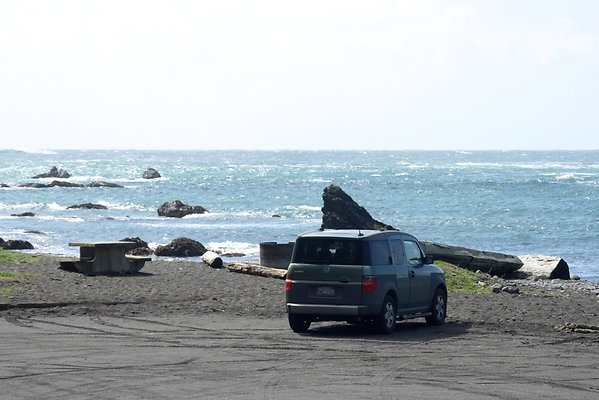 Van Damme State Park - 53 Van Damme State Park - 53