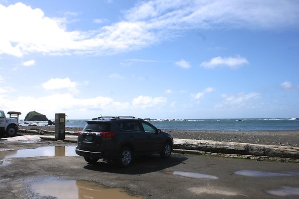 Van Damme State Park - 37 Van Damme State Park - 37