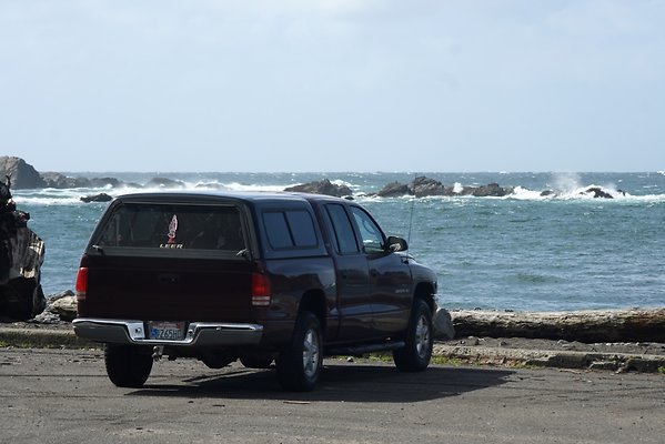 Van Damme State Park - 26 Van Damme State Park - 26