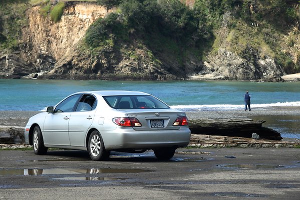 Van Damme State Park - 59 Van Damme State Park - 59