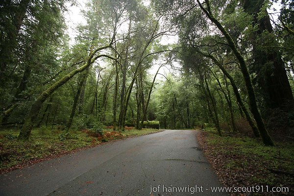 IMG 0743 - All rights reserved. Any use or reproduction only by written permission of owner. IMG 0743 - All rights reserved. Any use or reproduction only by written permission of owner.