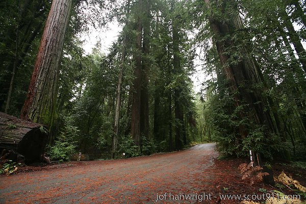 IMG 0718 - All rights reserved. Any use or reproduction only by written permission of owner. IMG 0718 - All rights reserved. Any use or reproduction only by written permission of owner.