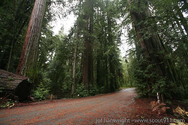 IMG 0715 - All rights reserved. Any use or reproduction only by written permission of owner. IMG 0715 - All rights reserved. Any use or reproduction only by written permission of owner.