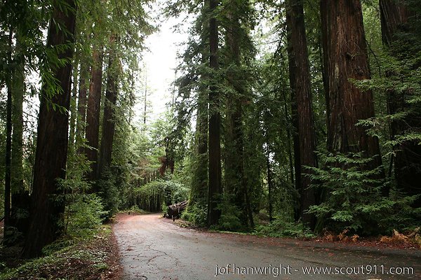 IMG 0695 - All rights reserved. Any use or reproduction only by written permission of owner. IMG 0695 - All rights reserved. Any use or reproduction only by written permission of owner.