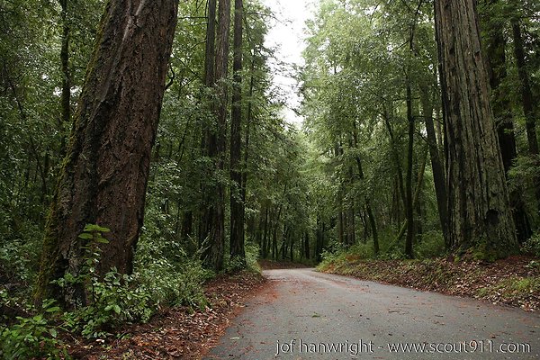 IMG 0681 - All rights reserved. Any use or reproduction only by written permission of owner. IMG 0681 - All rights reserved. Any use or reproduction only by written permission of owner.