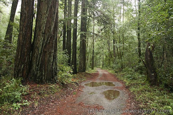 IMG 0754 - All rights reserved. Any use or reproduction only by written permission of owner. IMG 0754 - All rights reserved. Any use or reproduction only by written permission of owner.