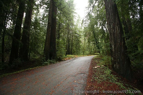 IMG 0730 - All rights reserved. Any use or reproduction only by written permission of owner. IMG 0730 - All rights reserved. Any use or reproduction only by written permission of owner.