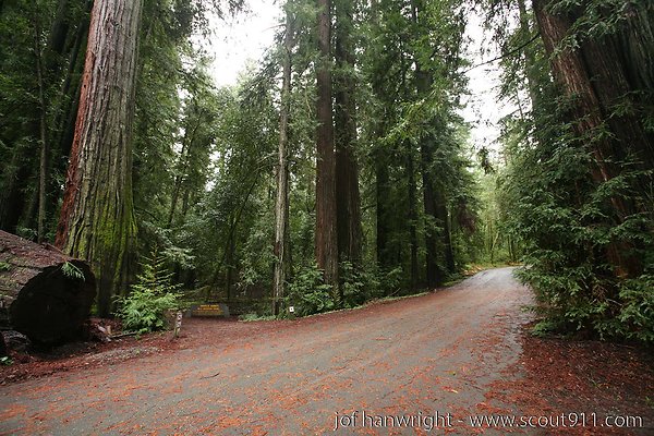 IMG 0713 - All rights reserved. Any use or reproduction only by written permission of owner. IMG 0713 - All rights reserved. Any use or reproduction only by written permission of owner.