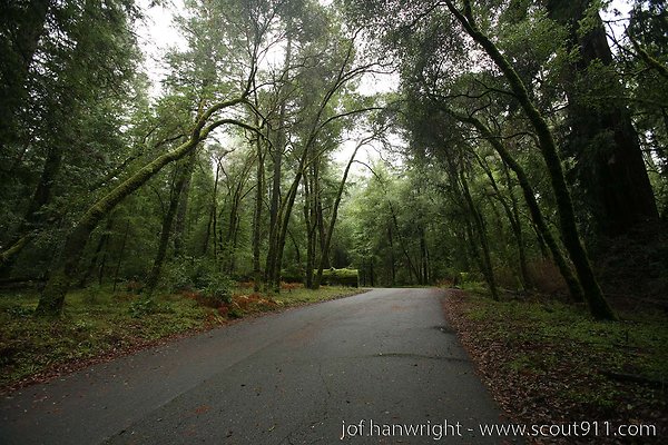 IMG 0744 - All rights reserved. Any use or reproduction only by written permission of owner. IMG 0744 - All rights reserved. Any use or reproduction only by written permission of owner.