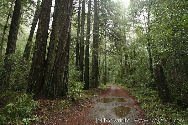 IMG 0752 - All rights reserved. Any use or reproduction only by written permission of owner. IMG 0752 - All rights reserved. Any use or reproduction only by written permission of owner.