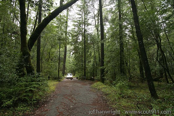 IMG 0758 - All rights reserved. Any use or reproduction only by written permission of owner. IMG 0758 - All rights reserved. Any use or reproduction only by written permission of owner.