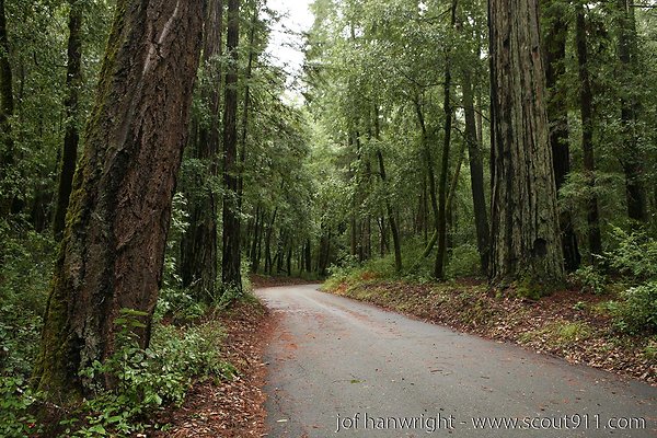 IMG 0676 - All rights reserved. Any use or reproduction only by written permission of owner. IMG 0676 - All rights reserved. Any use or reproduction only by written permission of owner.