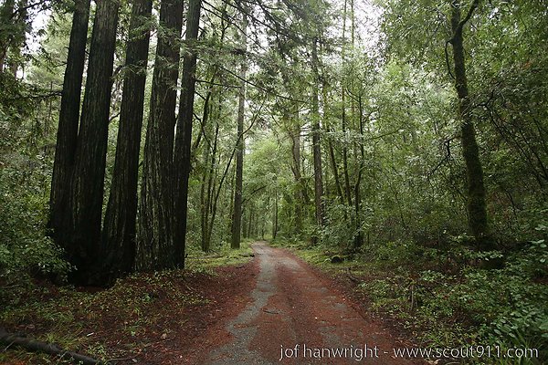 IMG 0756 - All rights reserved. Any use or reproduction only by written permission of owner. IMG 0756 - All rights reserved. Any use or reproduction only by written permission of owner.