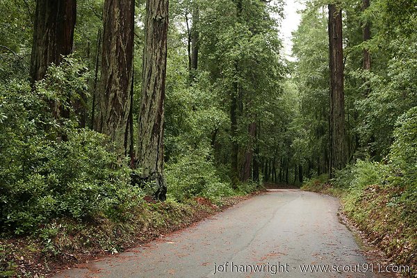 IMG 0673 - All rights reserved. Any use or reproduction only by written permission of owner. IMG 0673 - All rights reserved. Any use or reproduction only by written permission of owner.