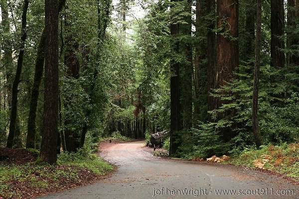 IMG 0682 - All rights reserved. Any use or reproduction only by written permission of owner. IMG 0682 - All rights reserved. Any use or reproduction only by written permission of owner.