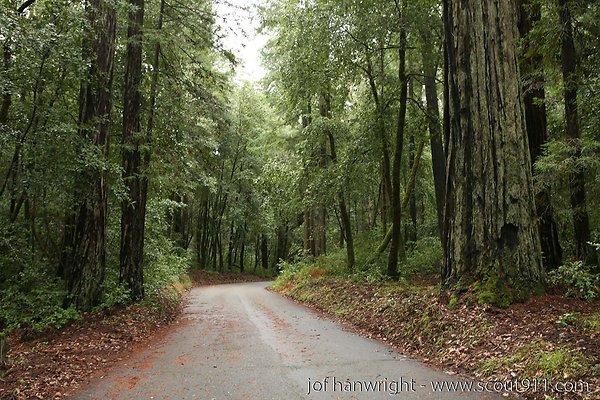 IMG 0677 - All rights reserved. Any use or reproduction only by written permission of owner. IMG 0677 - All rights reserved. Any use or reproduction only by written permission of owner.